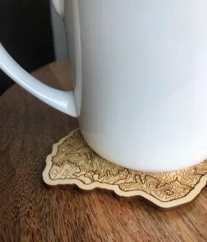 LAKE ARROWHEAD TOPOGRAPHY COASTER [1]