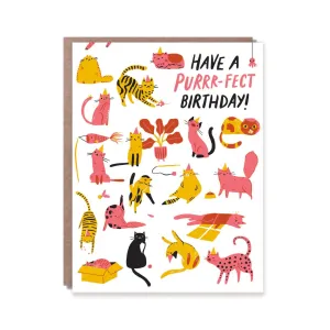 Purr-Fect Birthday Card