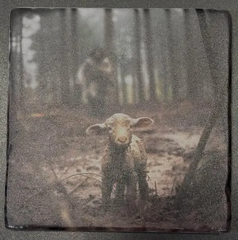 Tumbled Stone Coasters