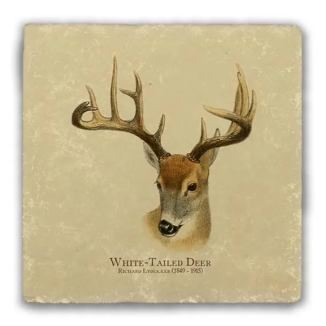 Tumbled Stone Coasters